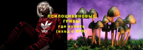твердый Алексеевка