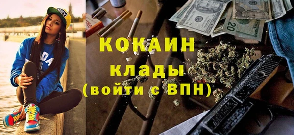 хмурый Алексин