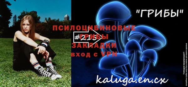 хмурый Алексин