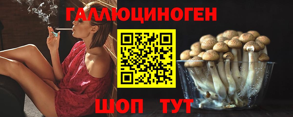 Михайловск  дарнет шоп  Галлюциногенные грибы Psilocybine cubensis  Вход с VPN  Псилоцибиновые грибы прущие грибы 